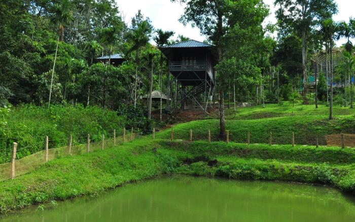 The Woods Resorts Wayanad