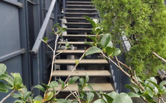 楊春旺建築師行館