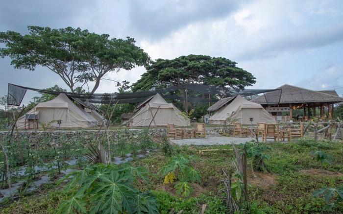 The Acacia Glamping Park