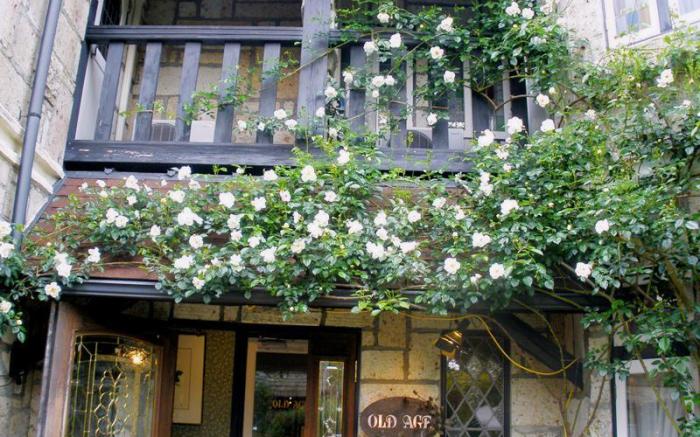 Petit Hotel & Restaurant Old Age