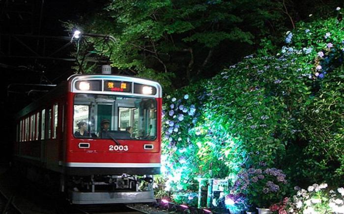 Hotel Harvest Hakone Koushien