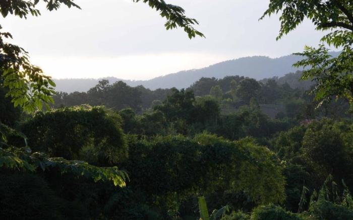 Bambuh Boutique Homestay - Adult Only