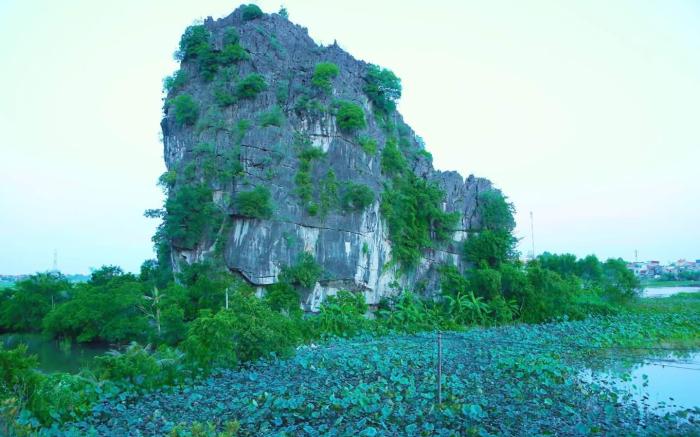 Tam Coc Eco Field Homes