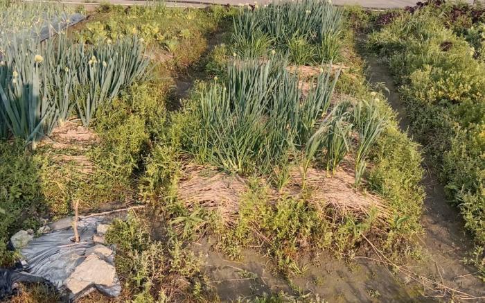 平方米3臥室獨立屋 (冬山鄉) - 有1間私人浴室