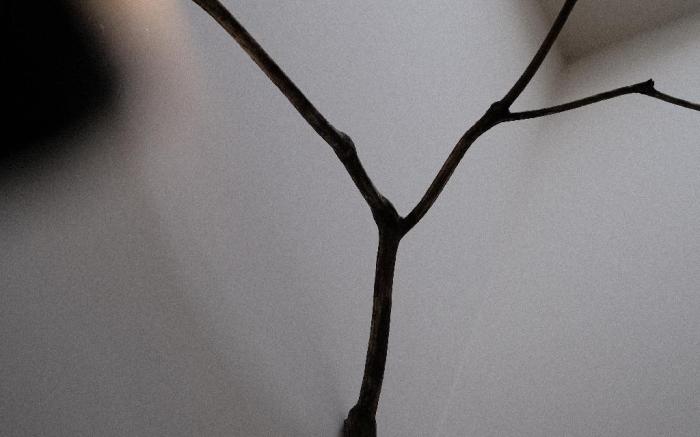 與裏YuLi 包棟民宿