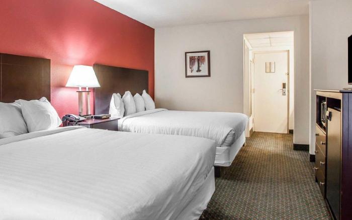 Comfort Inn & Suites Wyomissing Reading