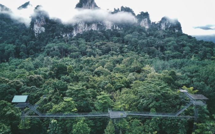 Khaosok Treehouse Resort