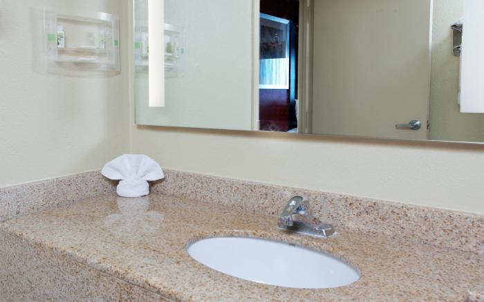 Holiday Inn Shreveport Downtown By IHG