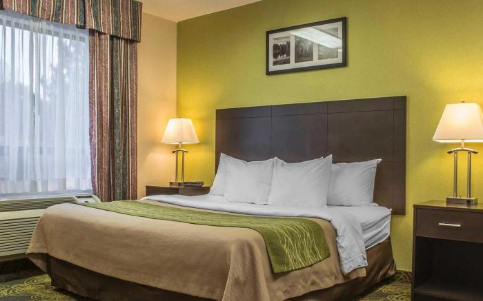 Comfort Hotel & Suites