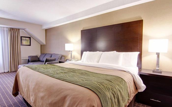 Comfort Inn