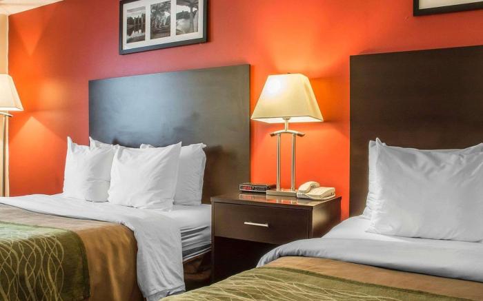 Comfort Hotel & Suites