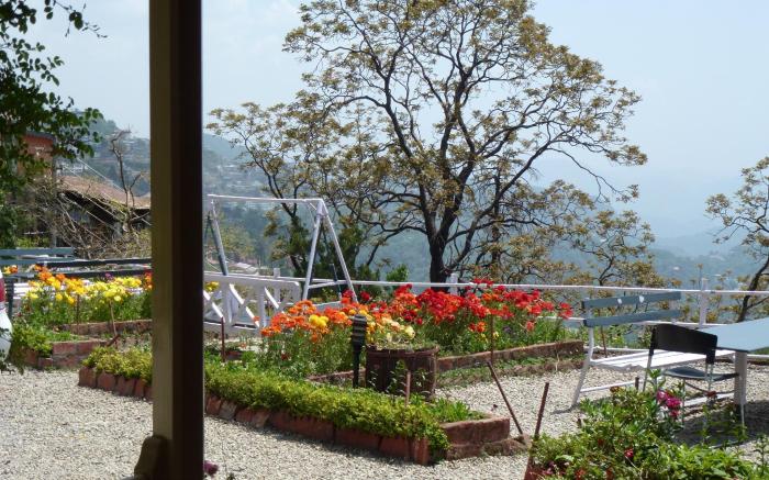 Hotel Padmini Nivas
