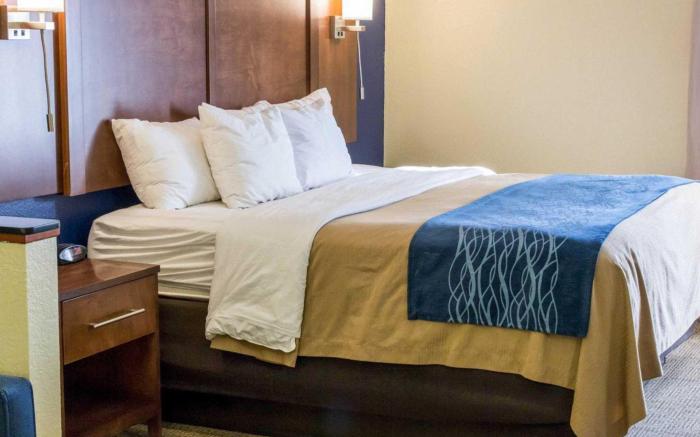 Comfort Inn & Suites Statesboro - University Area