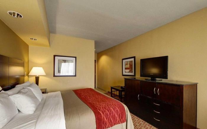 Comfort Inn & Suites Donna near I-2