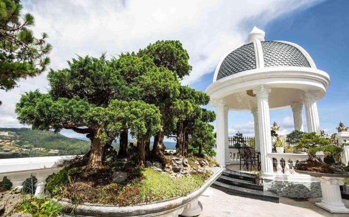 Dream Boutique Hotel