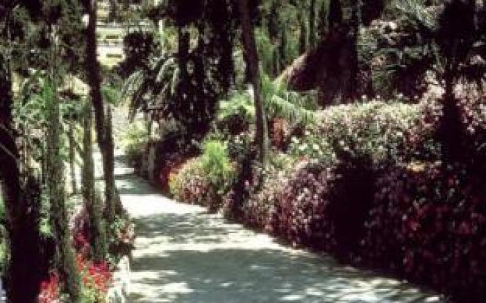 Hotel Bon Sol Resort & Spa