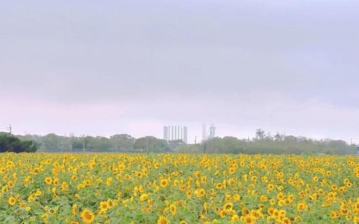 鄉野Field Stay