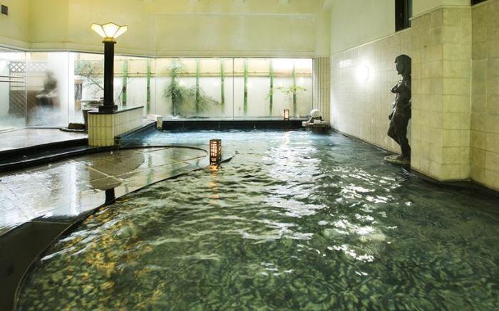 Ryokan Nishi-no-Miyabi Tokiwa