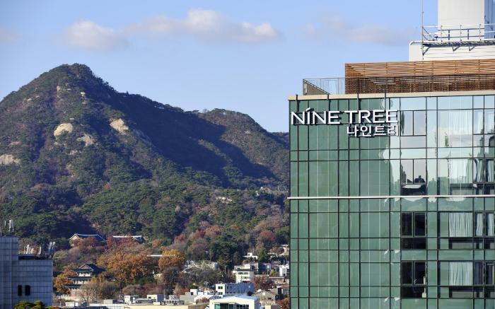 NINE TREE BY PARNAS SEOUL INSADONG 