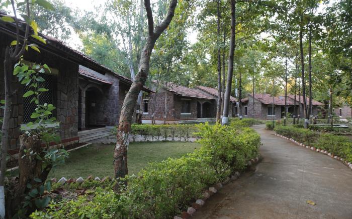 Mogli Jungle Resort