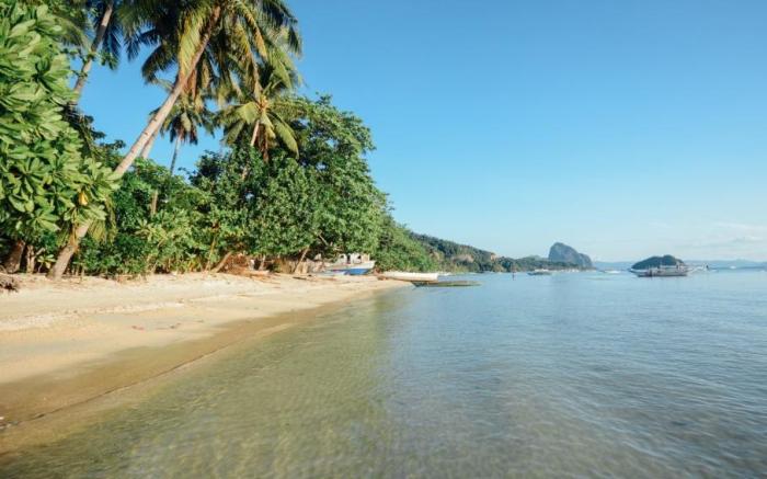 Mahogany Resort and Spa