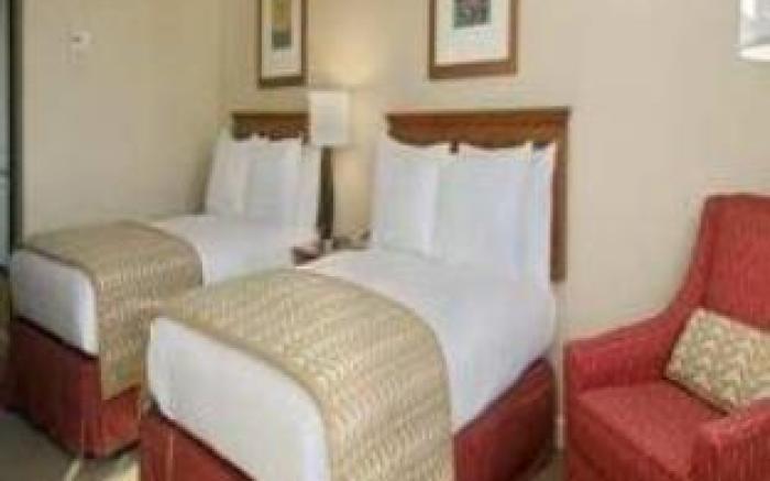 Hilton Tampa Airport Westshore