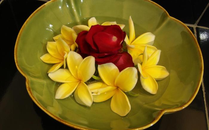 Frangipani Homestay