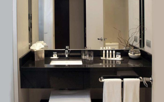 DoubleTree by Hilton Hotel Santiago-Vitacura