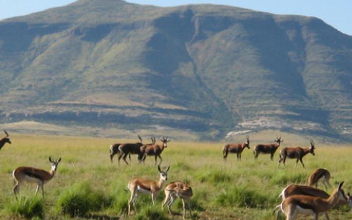 Moolmanshoek Private Game Reserve Hotel