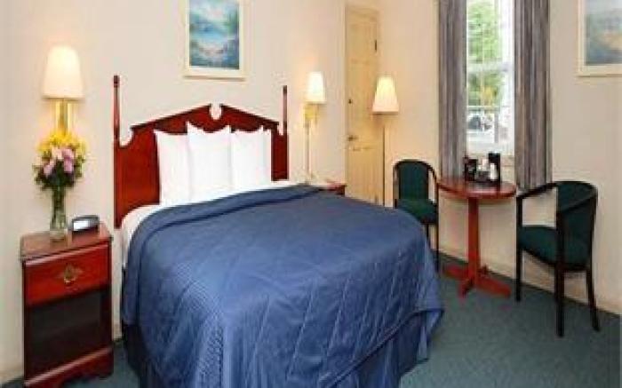 Comfort Inn & Suites Sturbridge-Brimfield