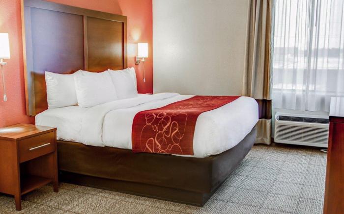 Comfort Suites Tyler South