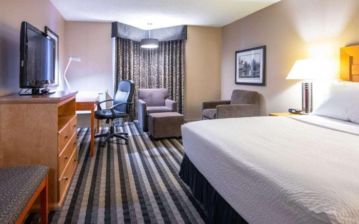 Royal Hotel West Edmonton, Trademark Collection by Wyndham