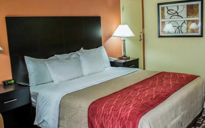 Comfort Inn University Durham - Chapel Hill