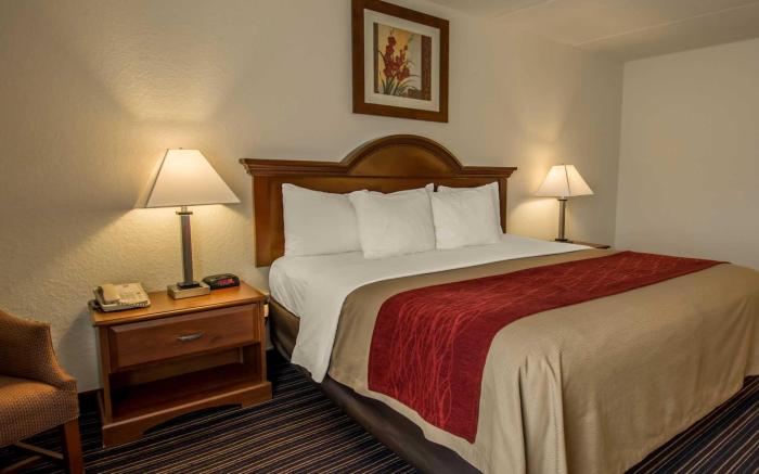 Comfort Inn Kissimmee-Lake Buena Vista South