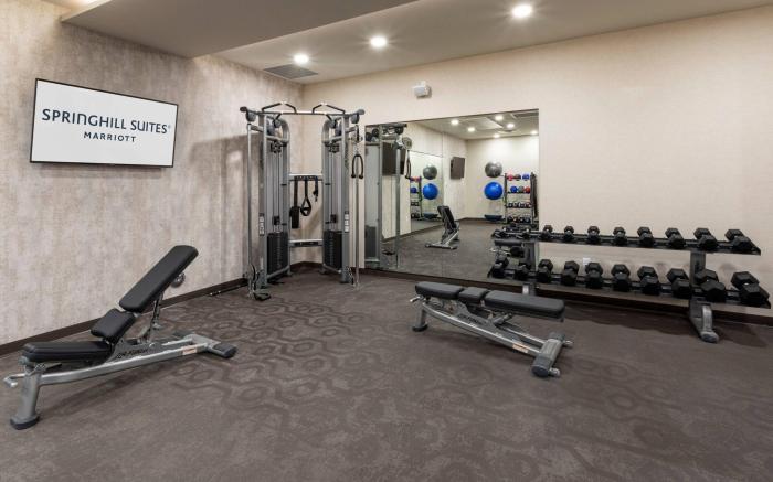 SpringHill Suites Minneapolis Maple Grove/Arbor Lakes
