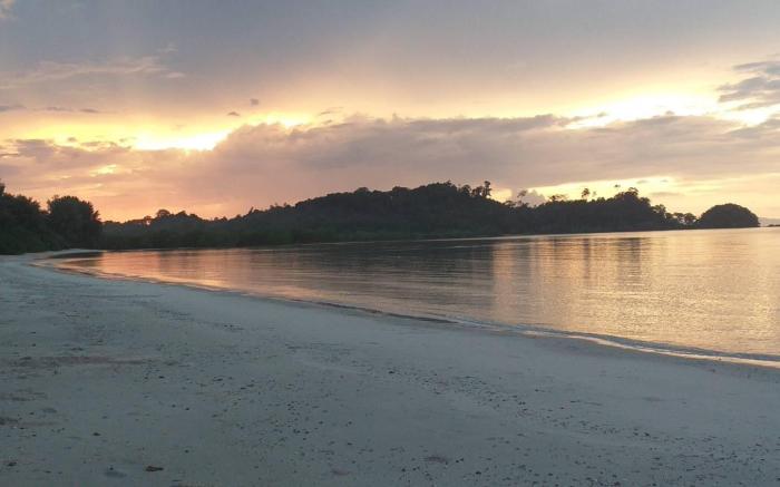 LOTUS KOH PHA YAM