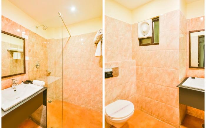 Palette - Anjushree Resorts Padmini Baug