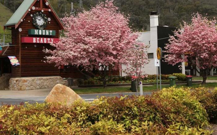 Mount Beauty Motor Inn