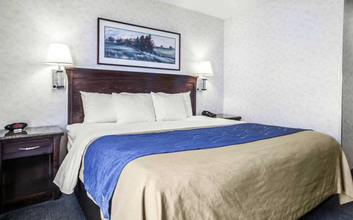 Comfort Inn Bellingham