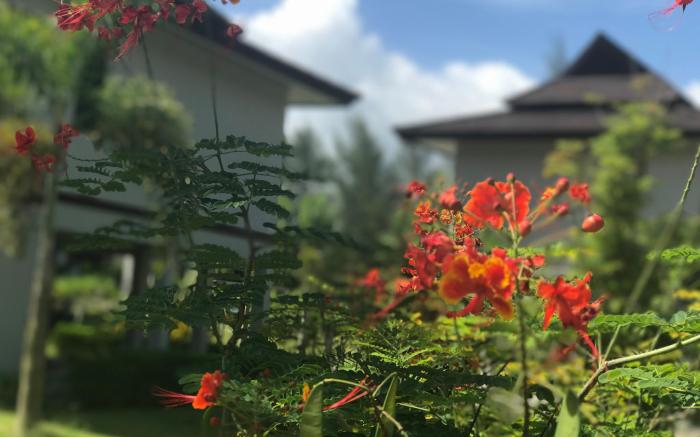 The Hip Resort @ Khao Lak