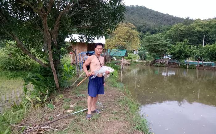 Samoeng fishing park @ home stay