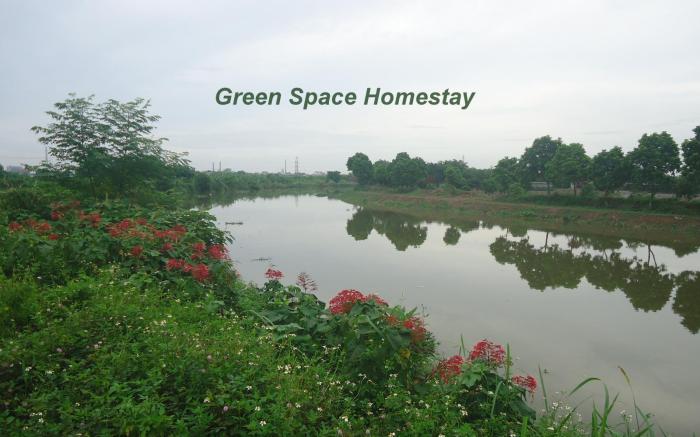 GREEN SPACE HOMESTAY - 102