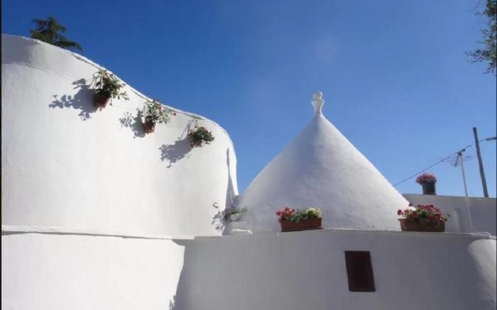 THE WHITETRULLO