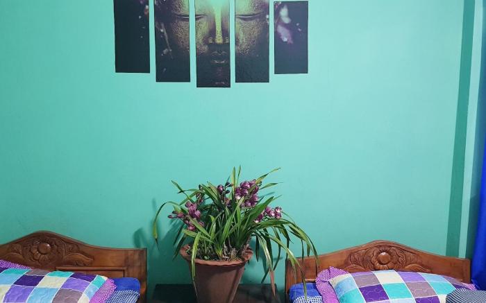 Allay's Home stay
