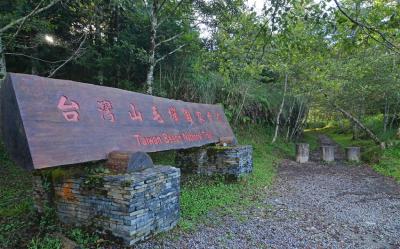 宜蘭旅遊｜最高折3百｜烘爐地求財賞梅花.太平山翠峰湖.珍稀植物『山毛櫸步道』二日｜台中出發