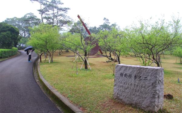 北桃旅遊｜軍艦岩親山步道.花卉試驗中心.行館梅花季二日｜中部出發