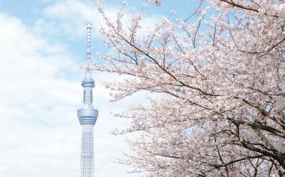 東京旅遊｜《人氣推薦》東京TAVINOS系列酒店4天3夜自由行(贈東京48小時地下鐵乘車券)★台灣虎航★｜高雄出發