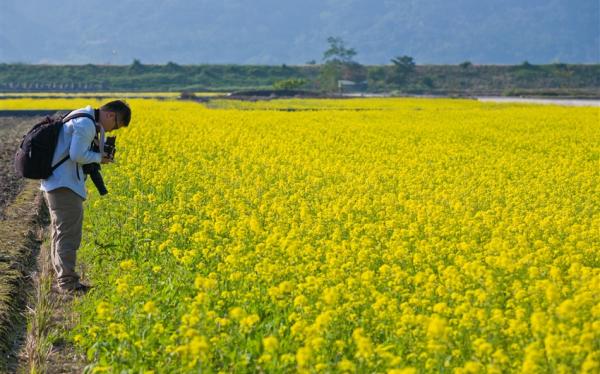 喜蛇賀歲∣開春賞五花~最大媽祖廟祈福·烏山頭遊湖賞夕陽·竹南蛇窯·知本溫泉湯·藍皮環島全程含餐5日