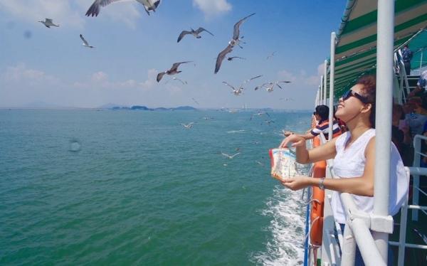 首爾旅遊｜南怡島.歡樂愛寶樂園.水原星空圖書館.逛弘大_明洞五日｜台中出發