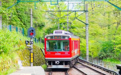 東京旅遊｜箱根鐵道.小田原城址公園.豐洲千客萬來.御殿場OUTLET.迪士尼.熟成牛吃到飽五日｜高雄來回